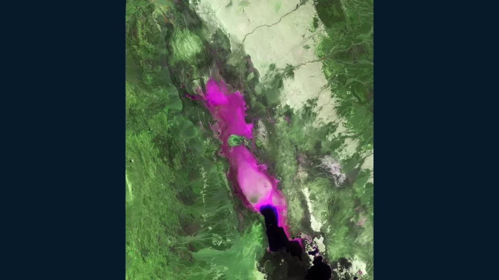 False-colour satellite view of the northern Danakil Depression in Ethiopia, 7 August 2025. Regional geological context; not the Colluli mine site.
